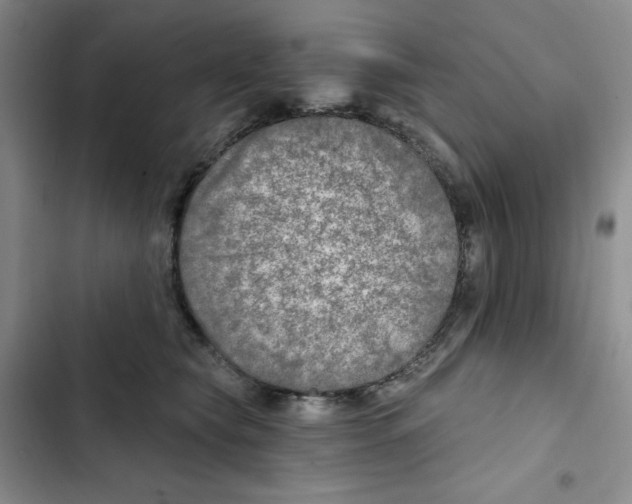 X0000102280565200808221307
