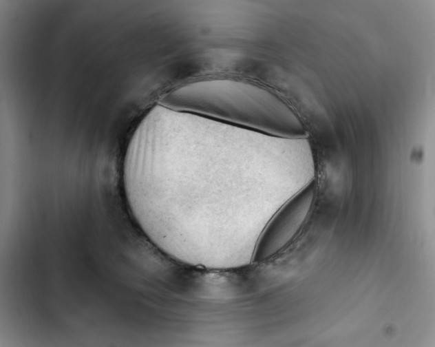 X0000102280566200808221307