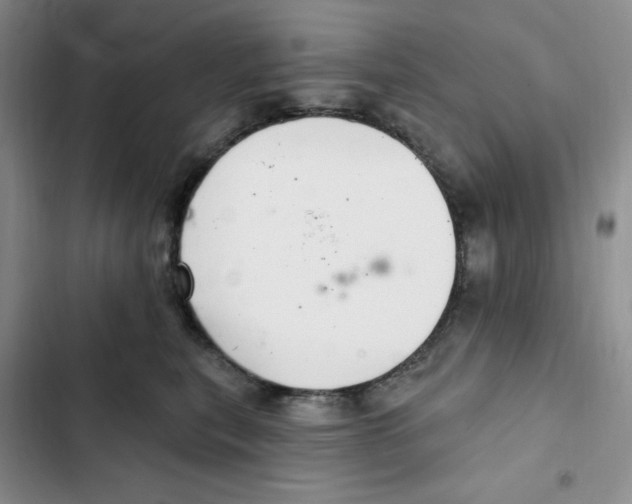 X0000102280567200808221307
