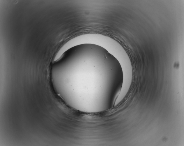 X0000102280568200808221307