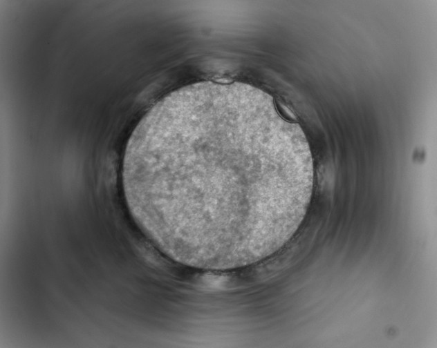 X0000102280570200808221307