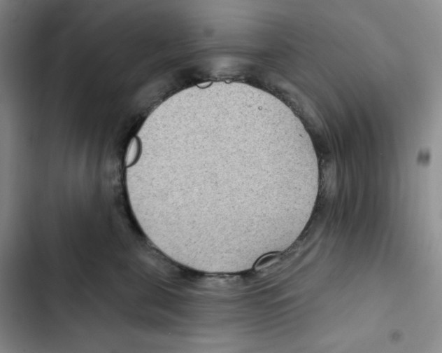 X0000102280571200808221307