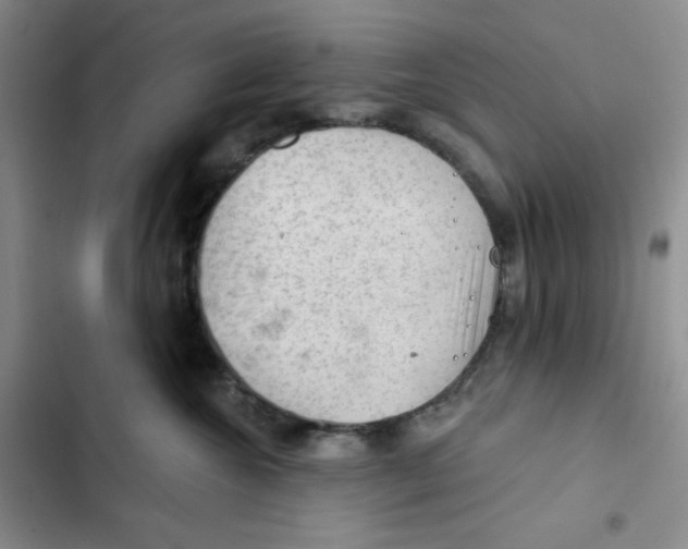 X0000102280572200808221307