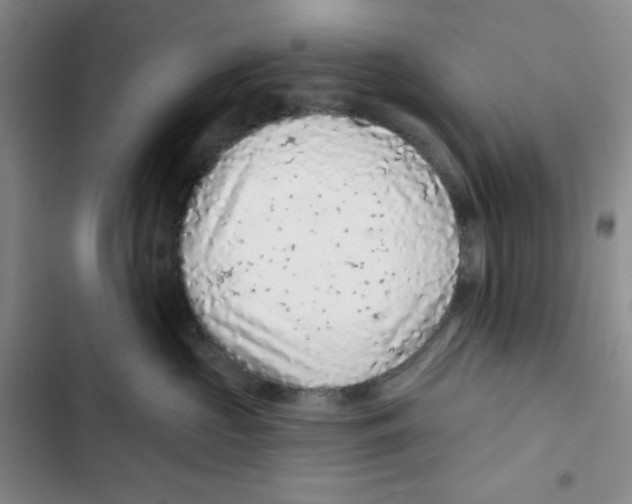 X0000102280573200808221307