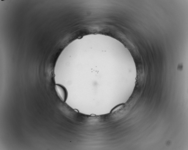 X0000102280574200808221307