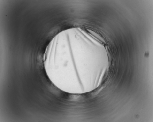 X0000102280575200808221307