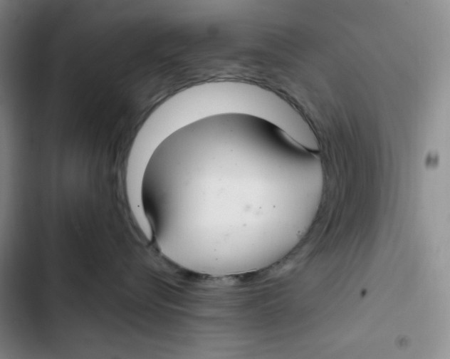 X0000102280576200808221307
