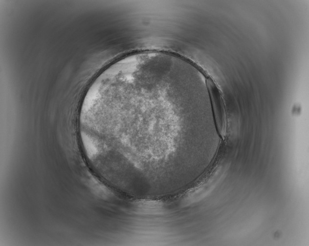 X0000102280577200808221306