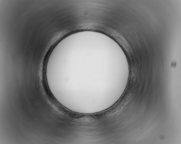 X0000102280578200808221306