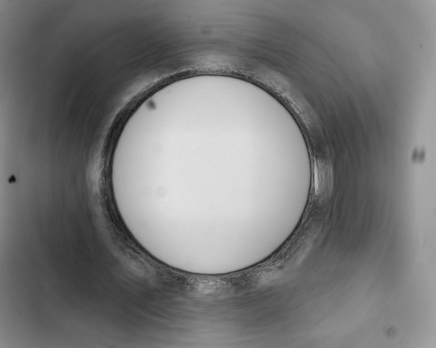 X0000102280579200808221306