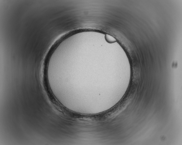 X0000102280580200808221306