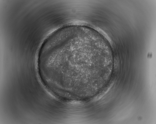 X0000102280581200808221306