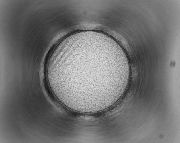 X0000102280582200808221306