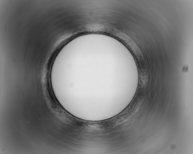 X0000102280583200808221306