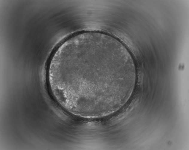 X0000102280584200808221306