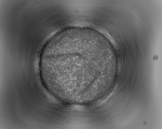 X0000102280585200808221306