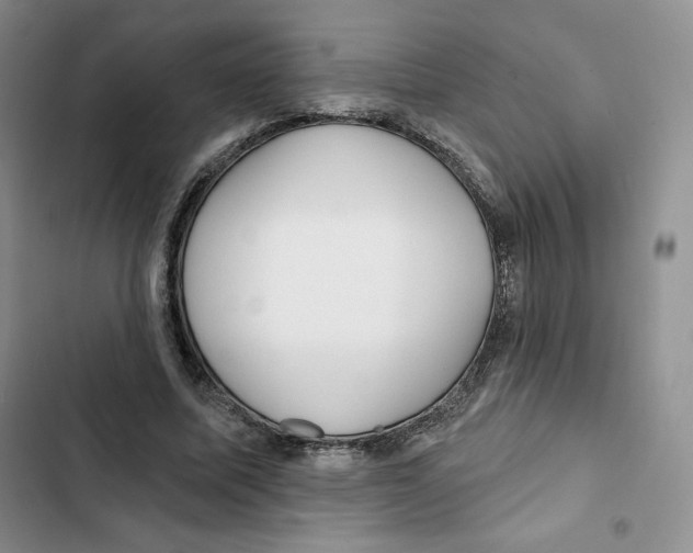X0000102280587200808221306