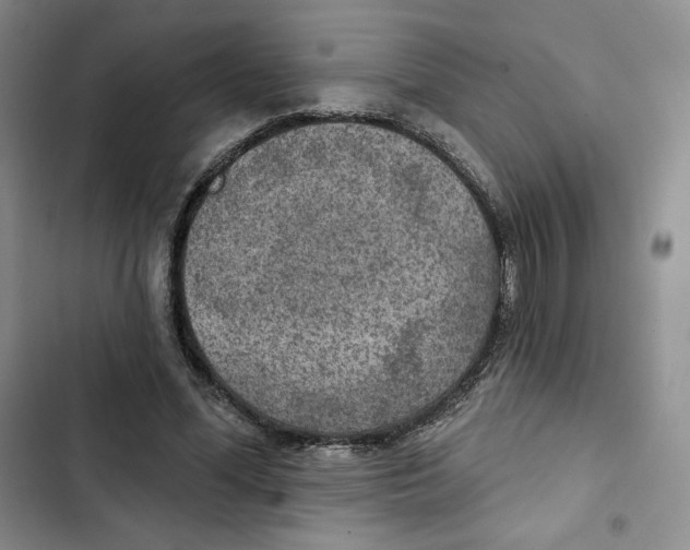 X0000102280588200808221306