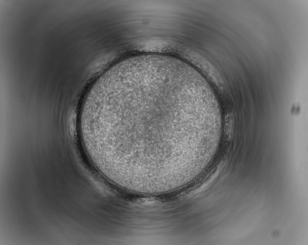 X0000102280589200808221306