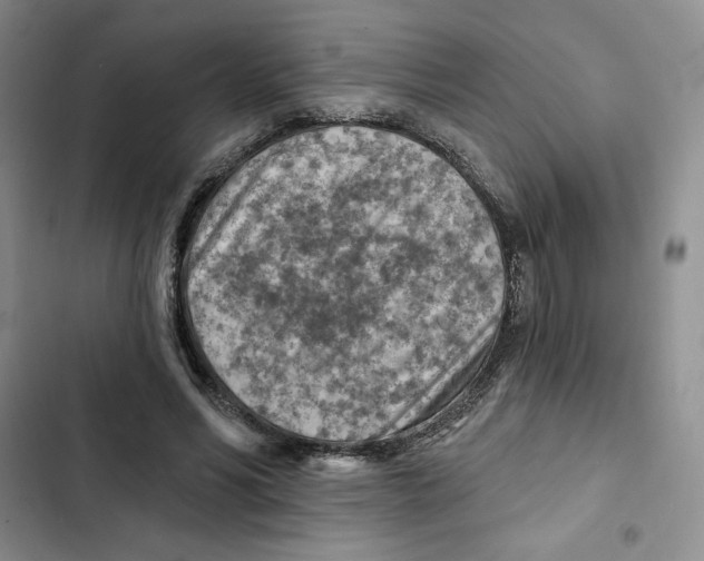 X0000102280590200808221306