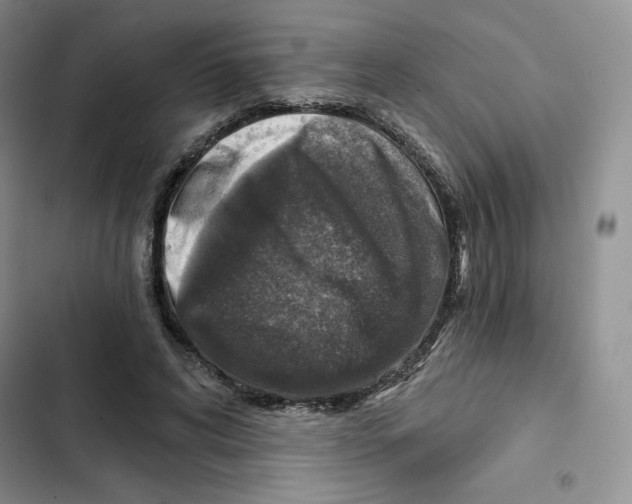 X0000102280592200808221306
