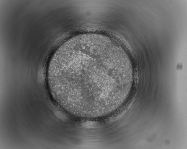 X0000102280593200808221306