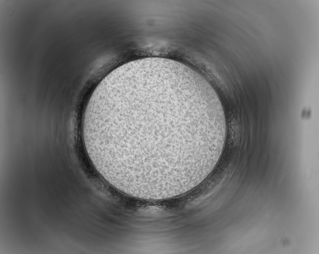 X0000102280594200808221306