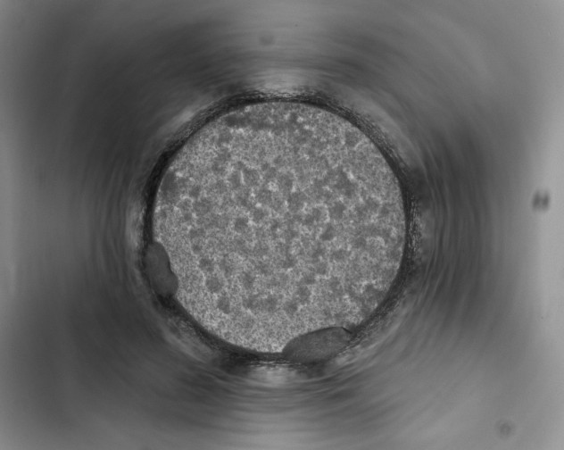 X0000102280596200808221306