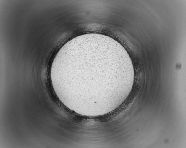 X0000102280597200808221306