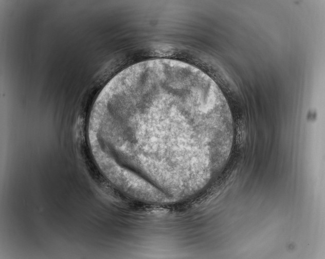 X0000102280598200808221306