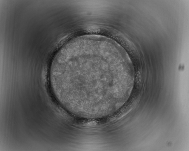 X0000102280600200808221306