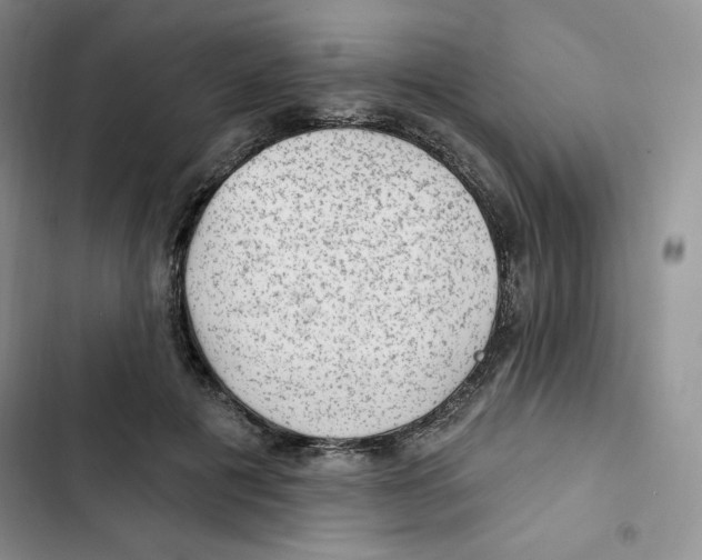 X0000102280601200808221306