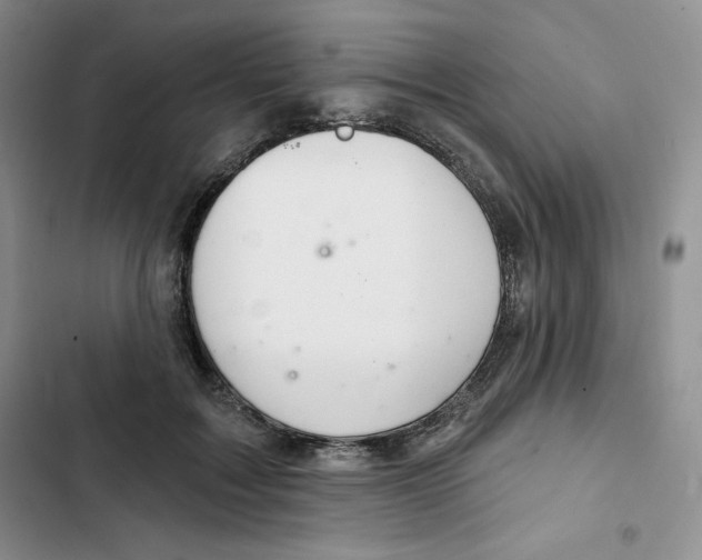 X0000102280603200808221306