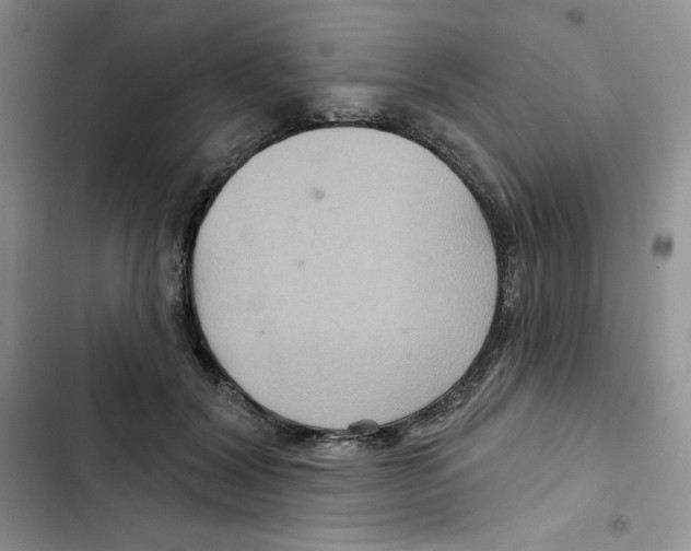 X0000102280604200808221306
