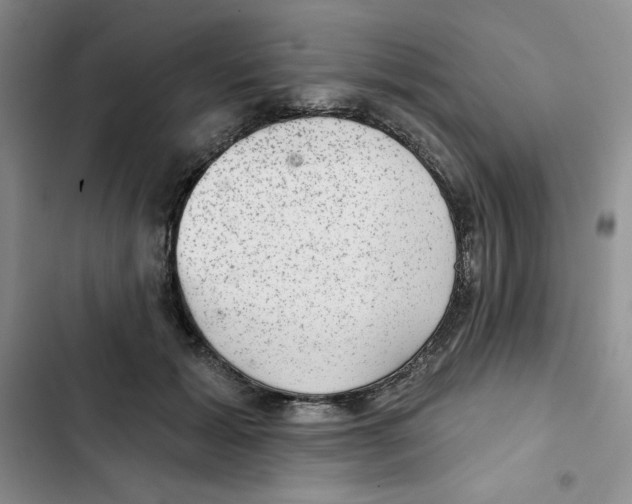 X0000102280605200808221306