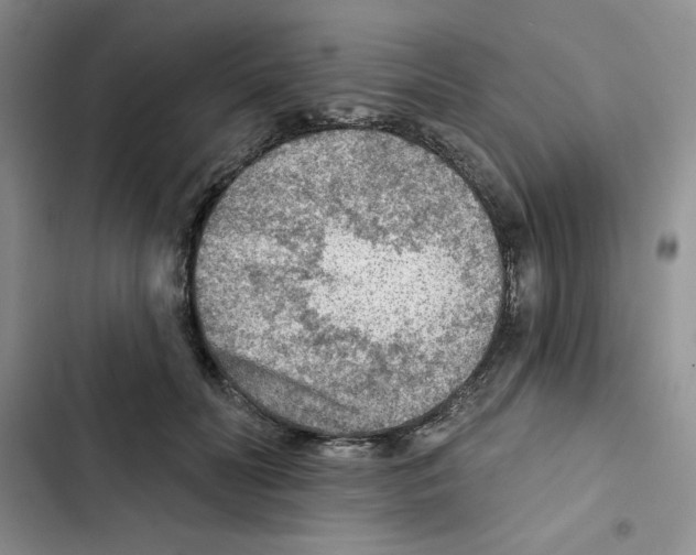 X0000102280606200808221306
