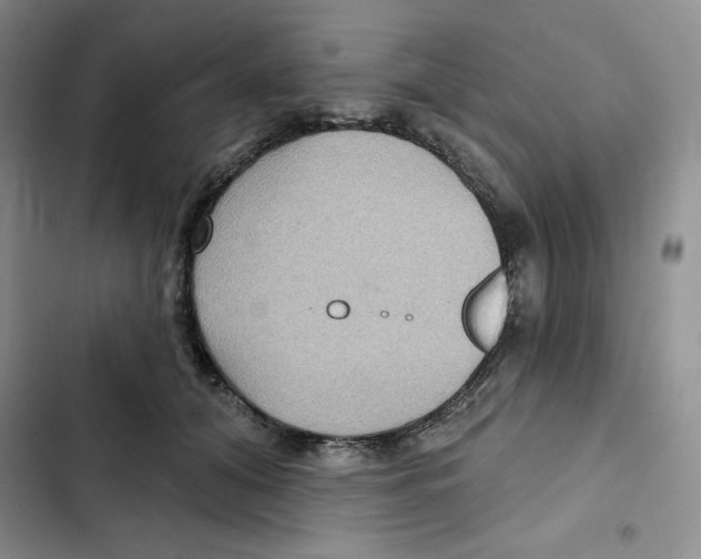 X0000102280608200808221306