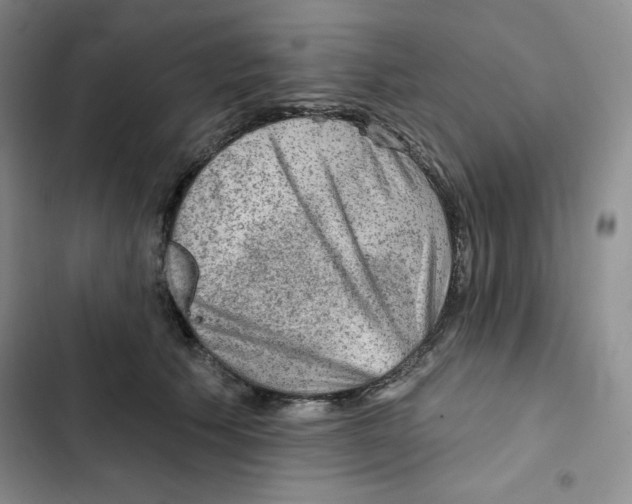 X0000102280609200808221306