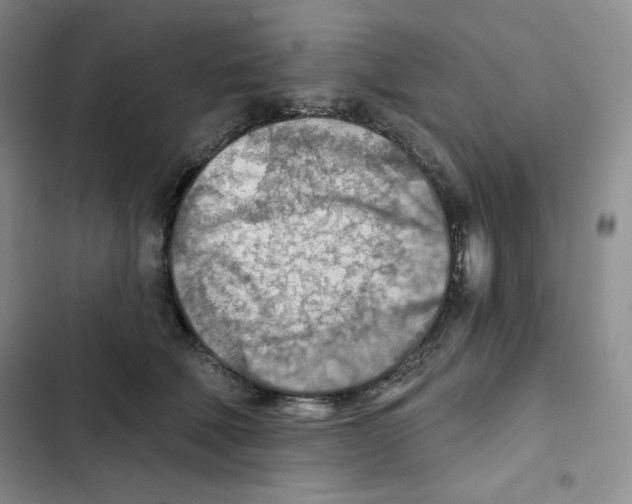 X0000102280610200808221306