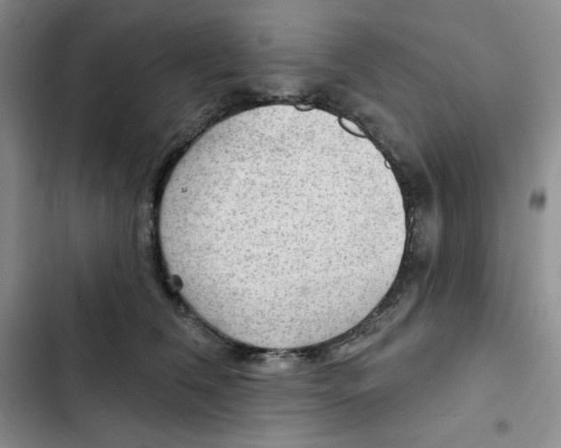 X0000102280612200808221305