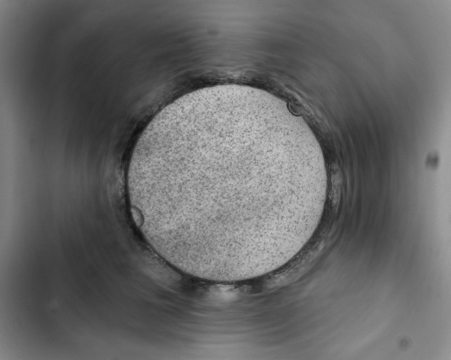 X0000102280613200808221305