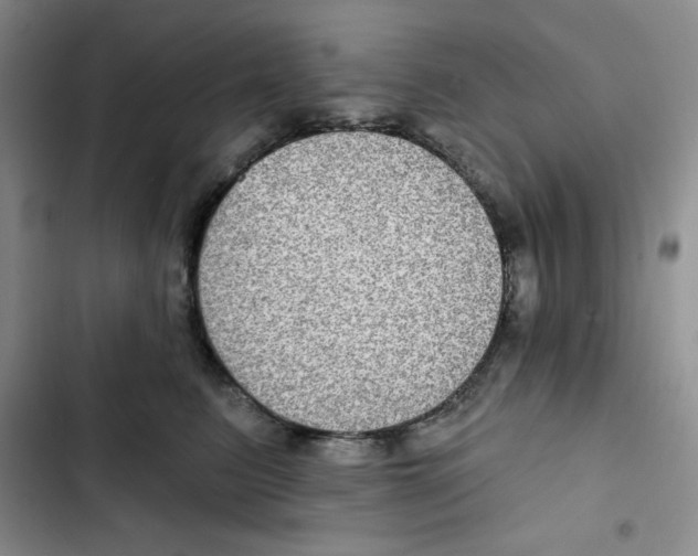 X0000102280615200808221305