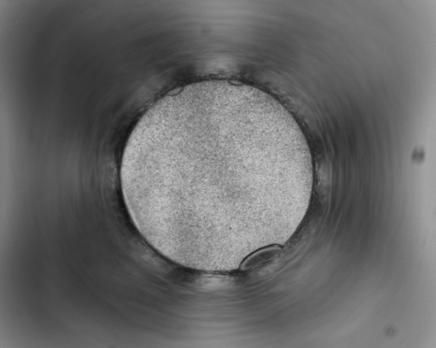 X0000102280617200808221305