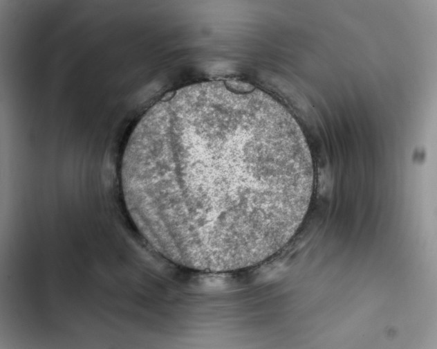 X0000102280618200808221305