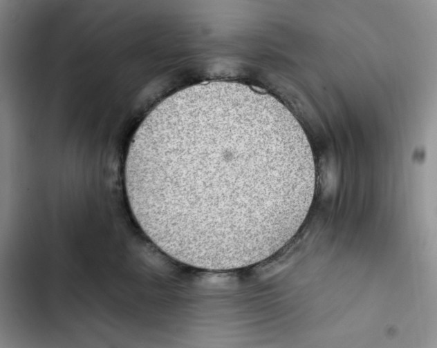 X0000102280619200808221305