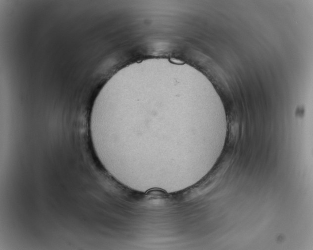 X0000102280620200808221305