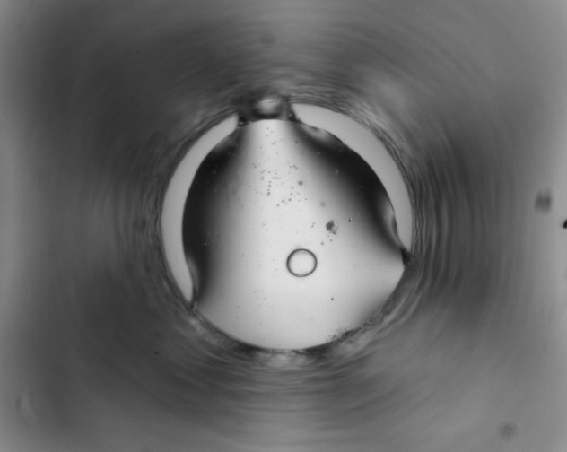 X0000102280621200808221305