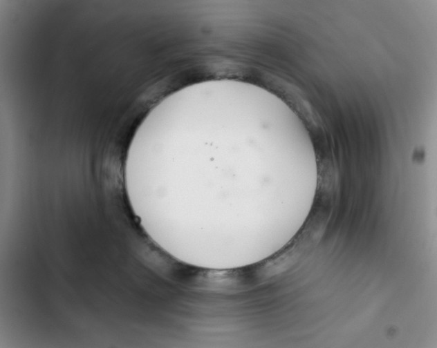 X0000102280622200808221305