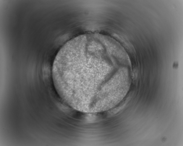 X0000102280623200808221305