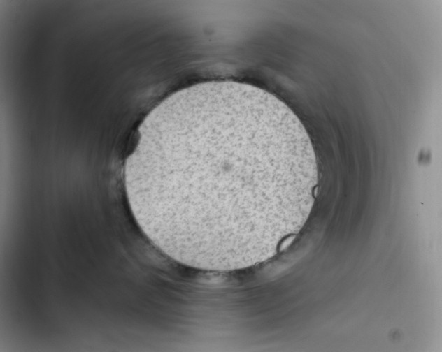 X0000102280624200808221305